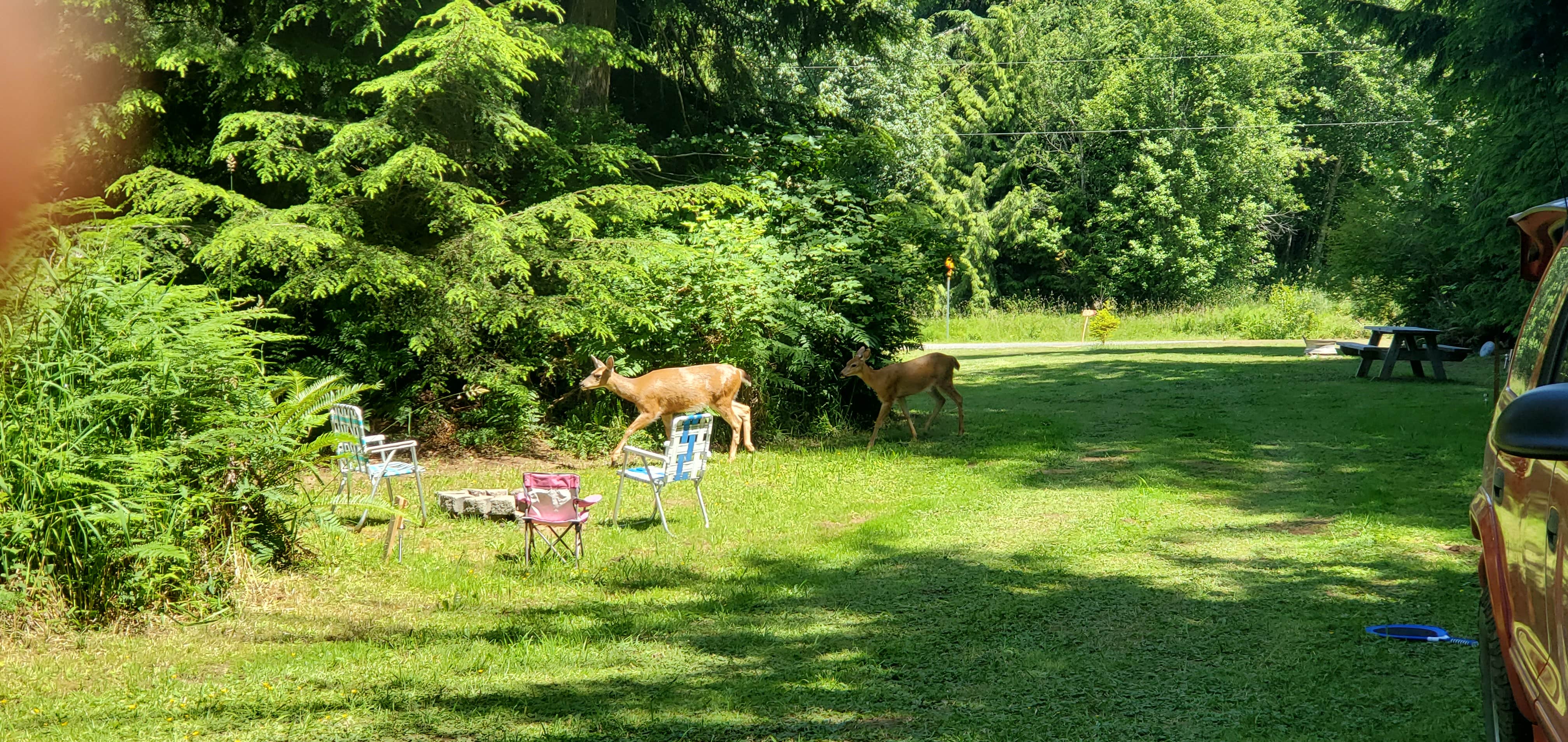Camper-submitted photo at Weekend Worrior Camping near Sekiu, WA