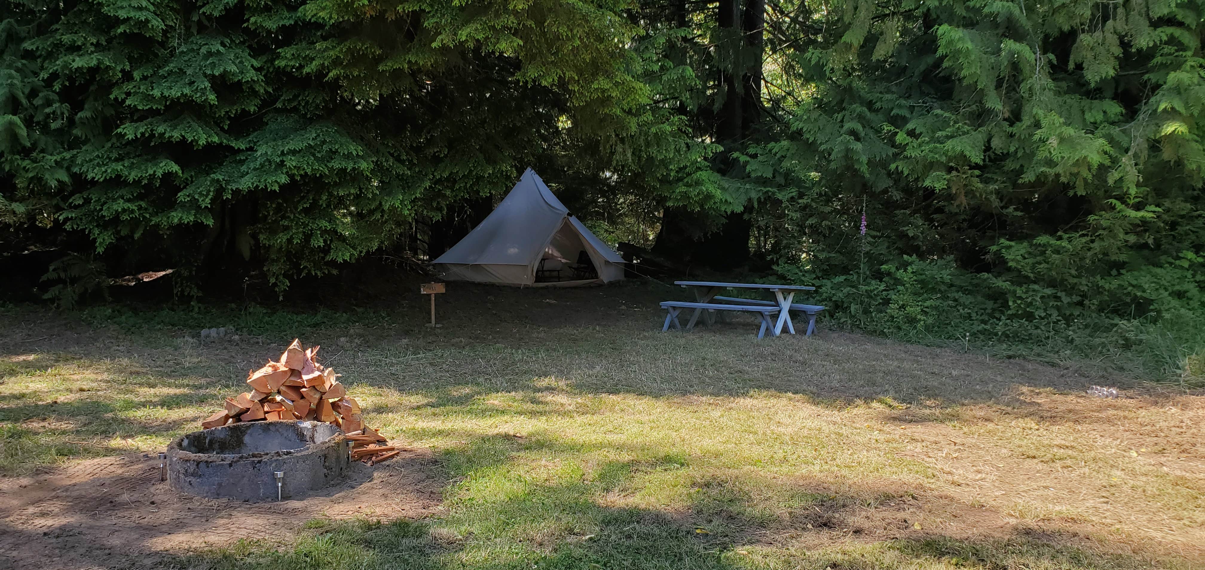 Aimee B.'s photo of tent camping at Weekend Worrior Camping near Sekiu, WA