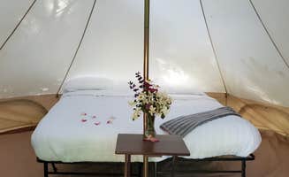 Aimee B.'s photo of glamping accommodations at Weekend Worrior Camping near Olympic National Park