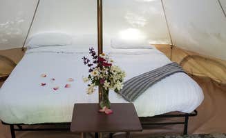 Aimee B.'s photo of glamping accommodations at Weekend Worrior Camping near Quinault, WA