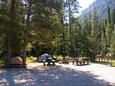 Camper submitted image from USFS Teton Canyon Campground - 4