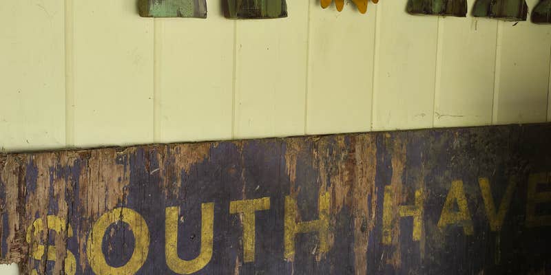 Camper submitted image from Sunflower Farm Camping