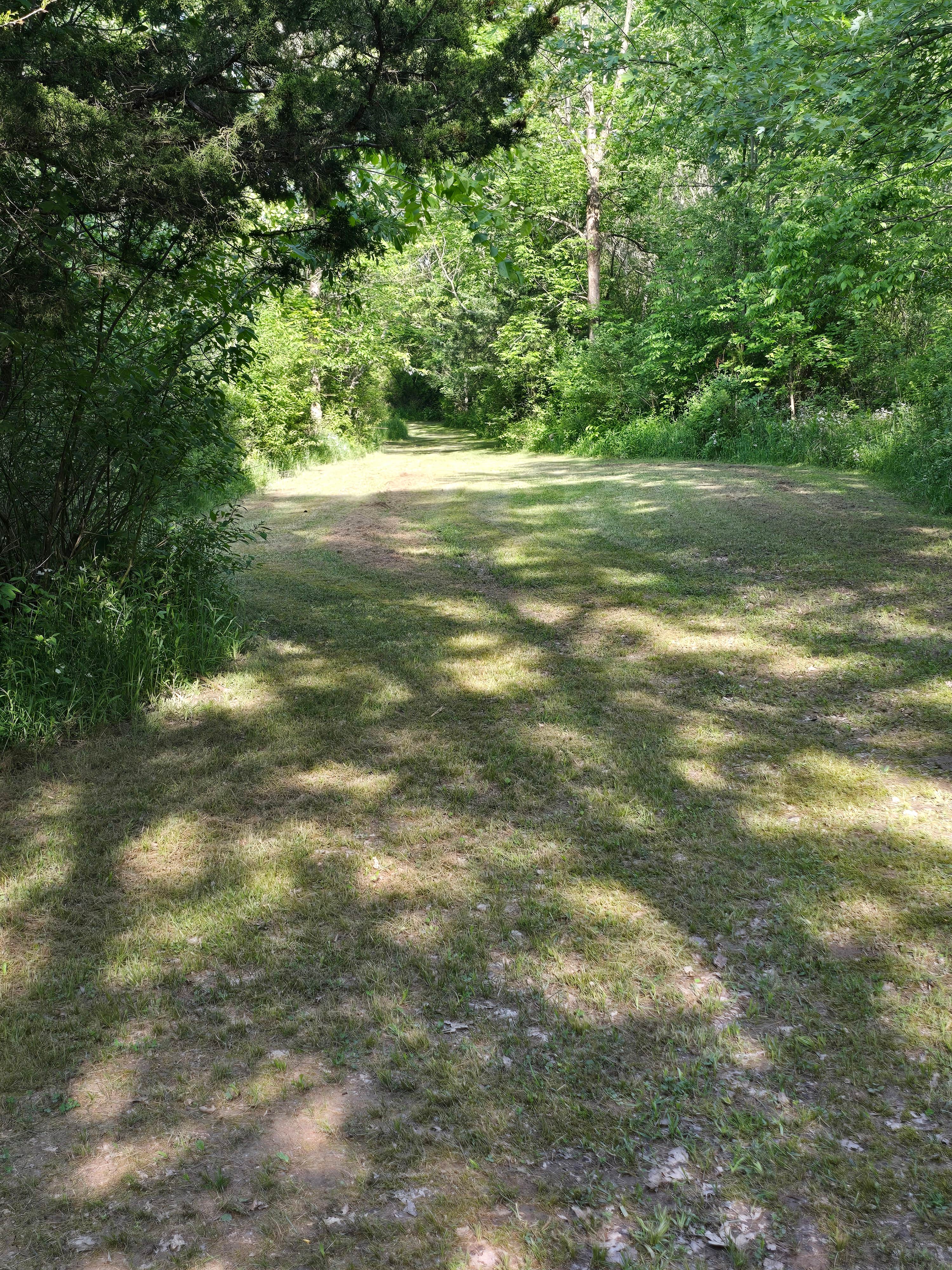 Camper-submitted photo at Sunflower Farm Camping near Union Pier, MI