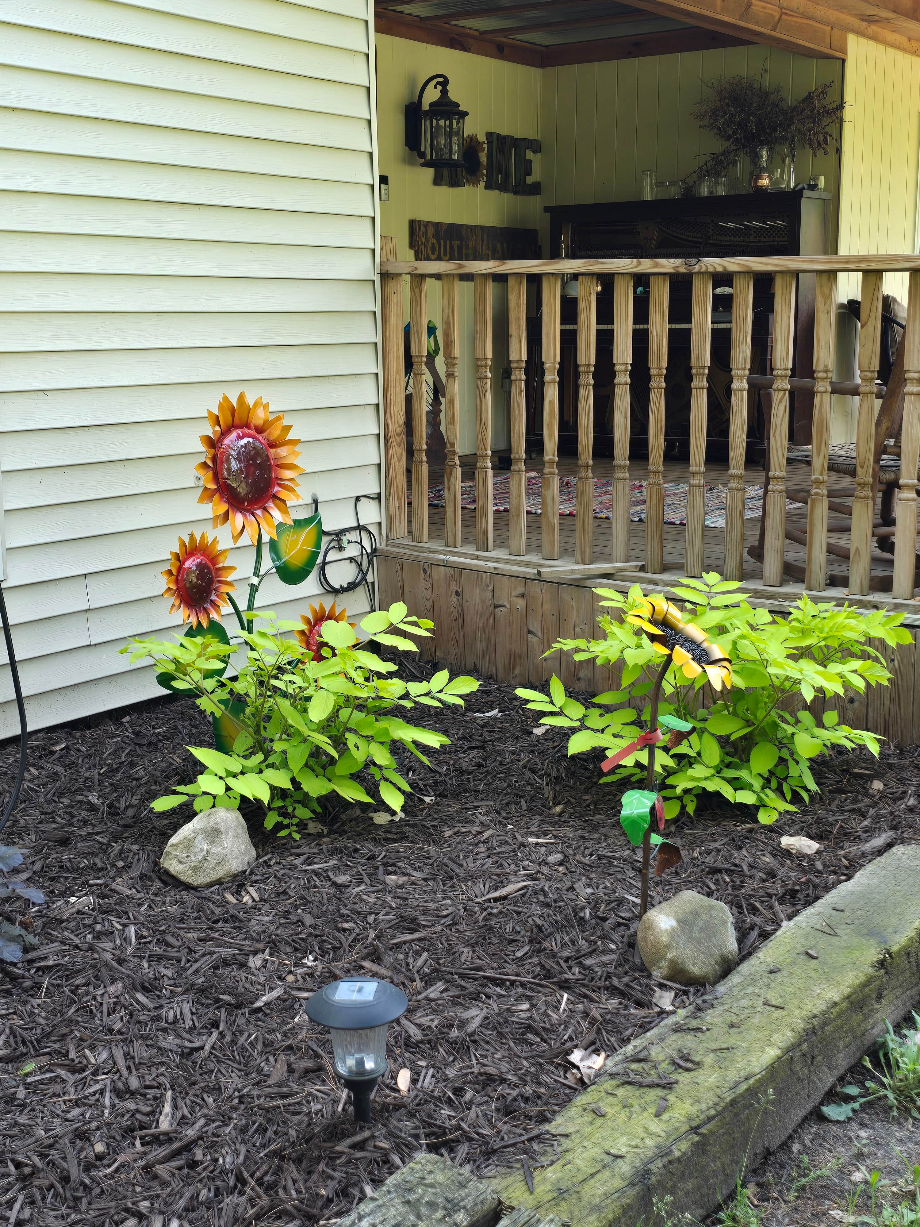 Camper-submitted photo at Sunflower Farm Camping near Union Pier, MI