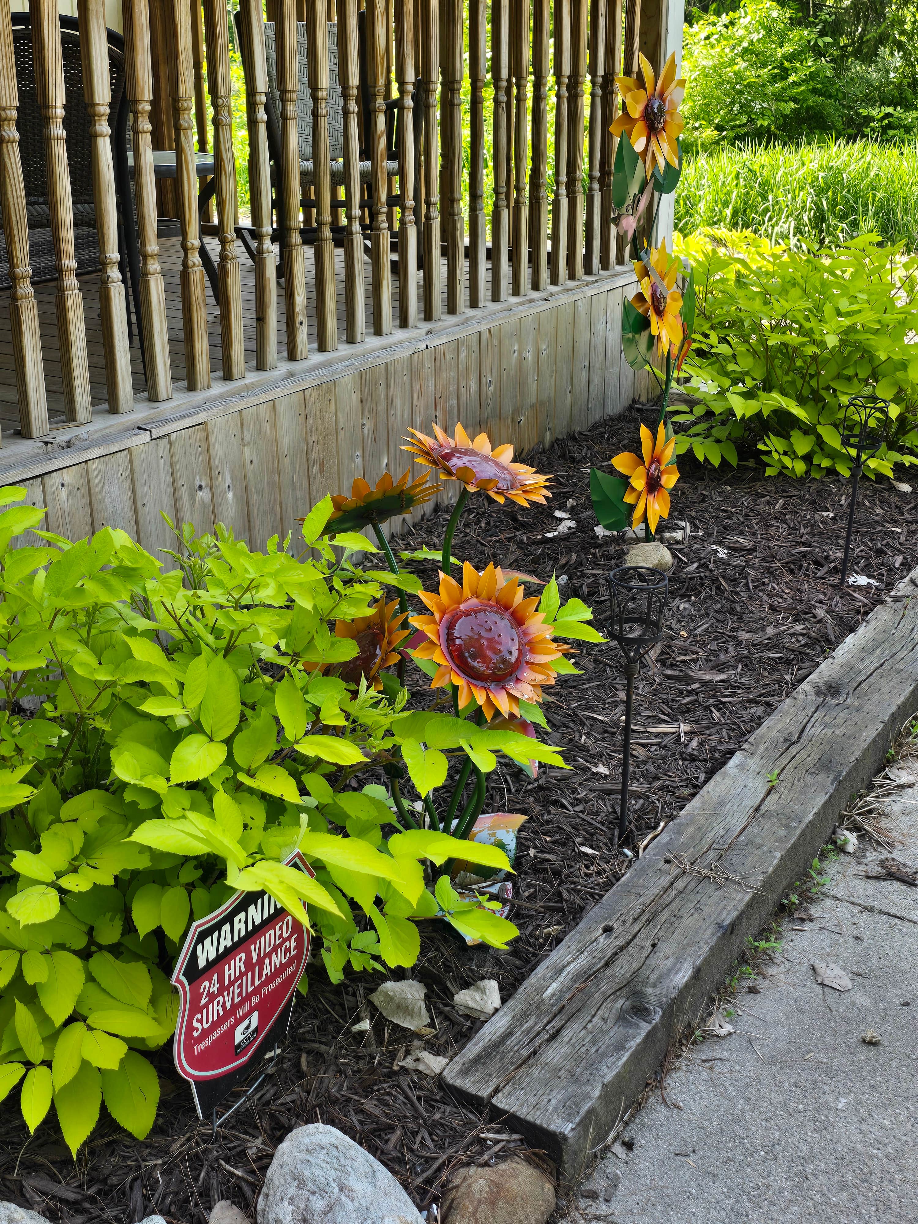 Camper-submitted photo at Sunflower Farm Camping near Union Pier, MI