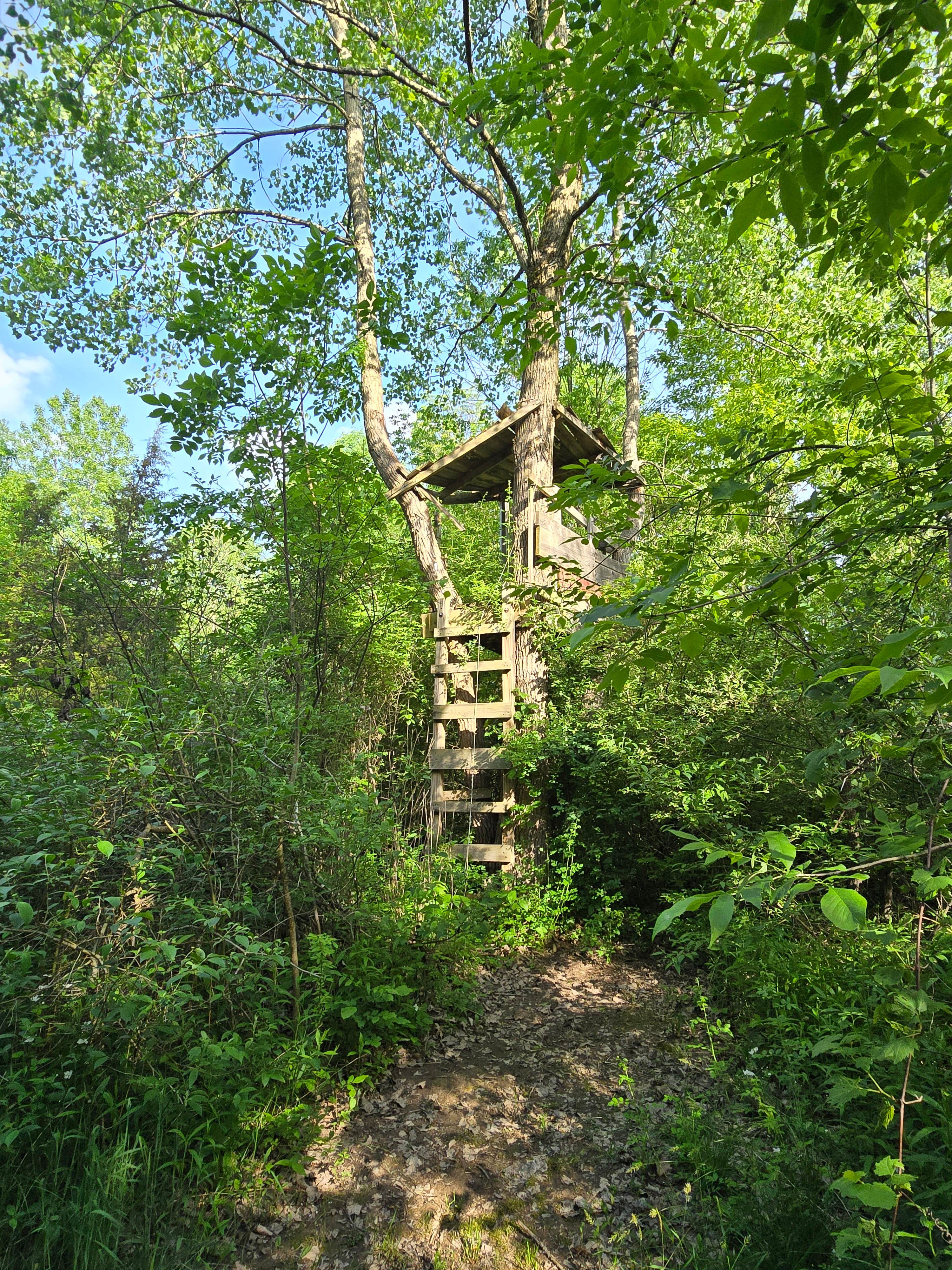 Camper-submitted photo at Sunflower Farm Camping near Union Pier, MI