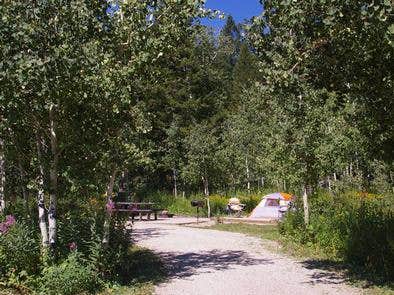 Camper submitted image from Teton Canyon - 4