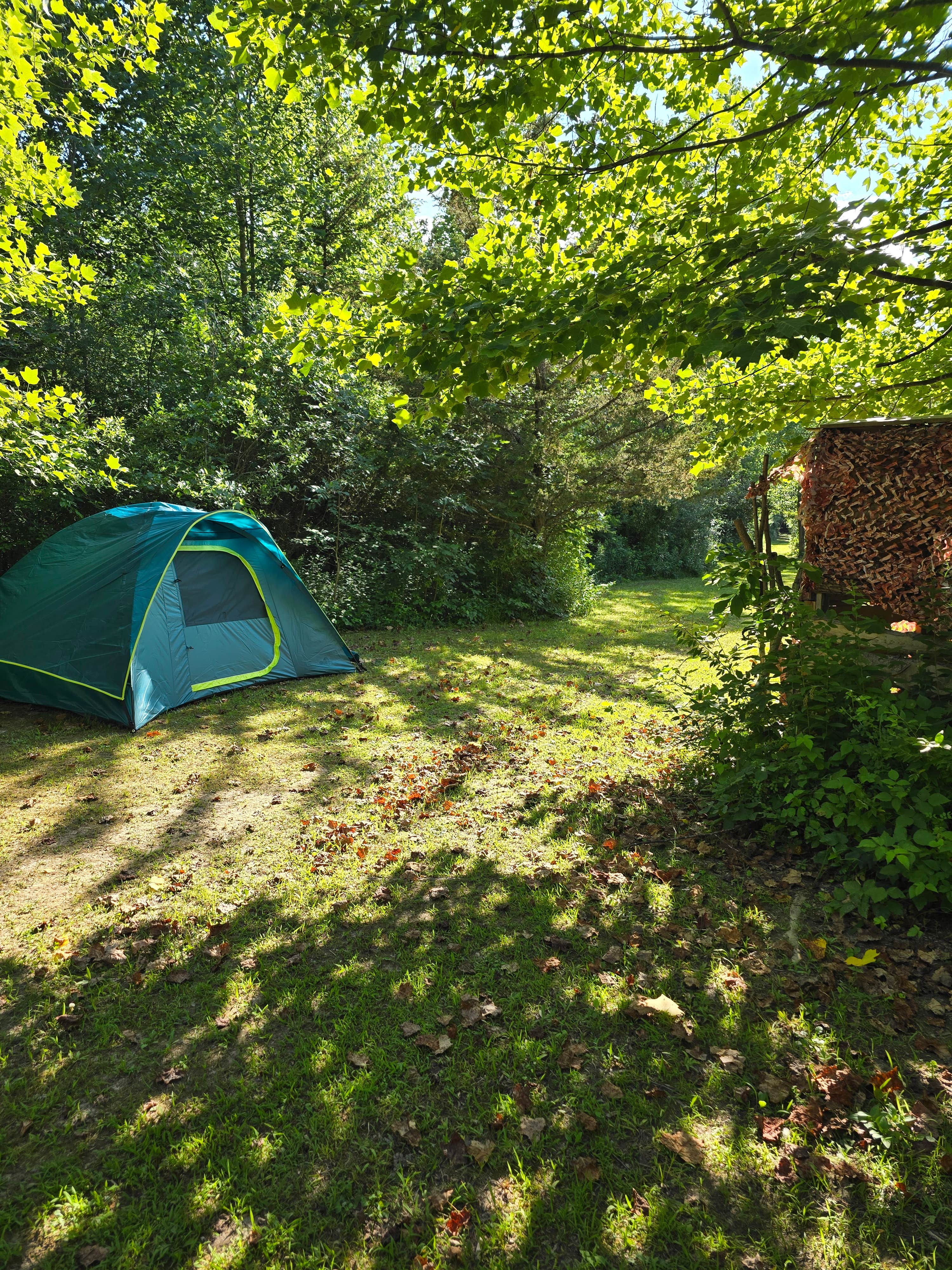 Francesco S.'s photo at Sunflower Farm Camping near Covert, MI