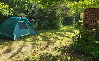 Francesco S.'s photo of tent camping at Sunflower Farm Camping near Scotts, MI