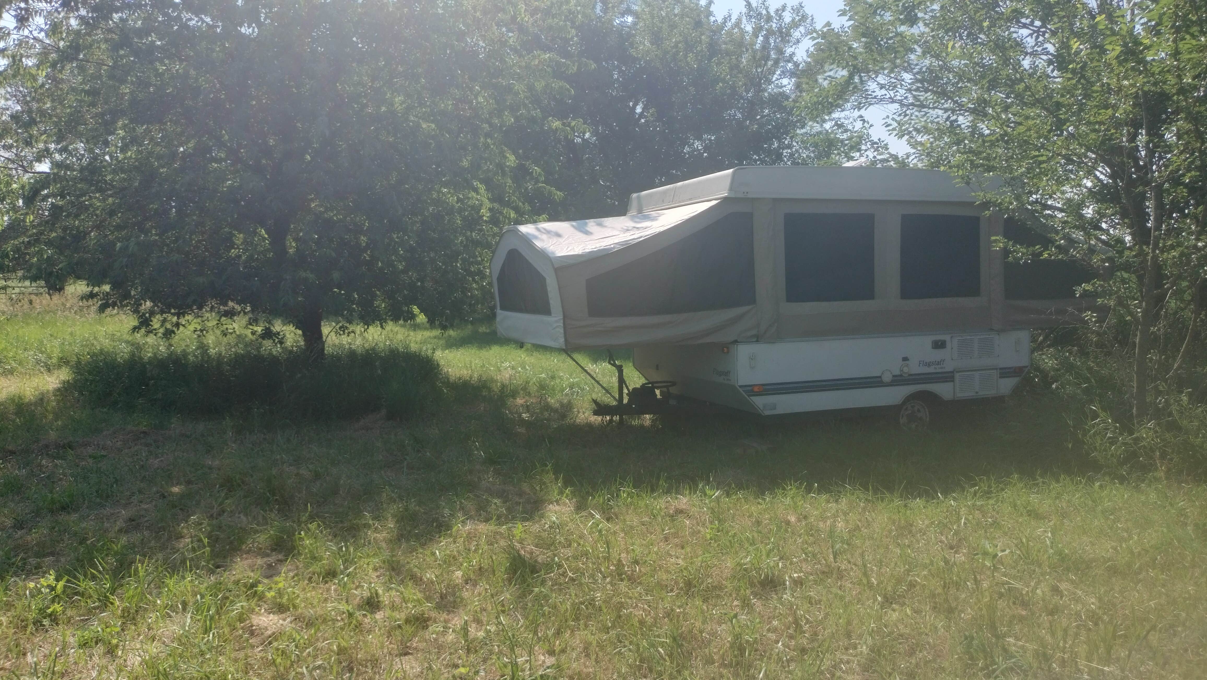 Camper submitted image from Hickey Homestead - 2