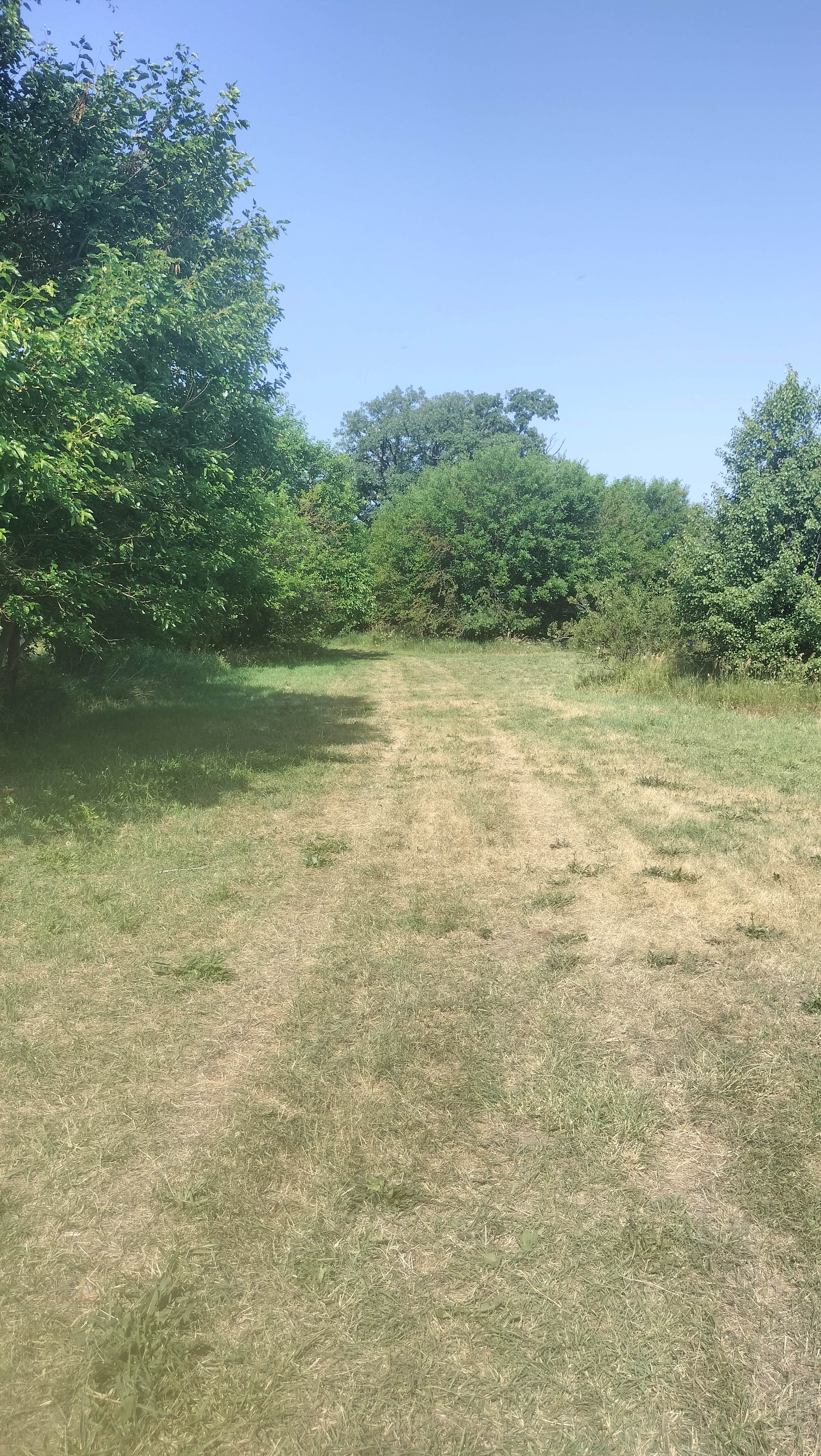 Camping near Ross Camp: Hickey Homestead, Wolcott, Indiana