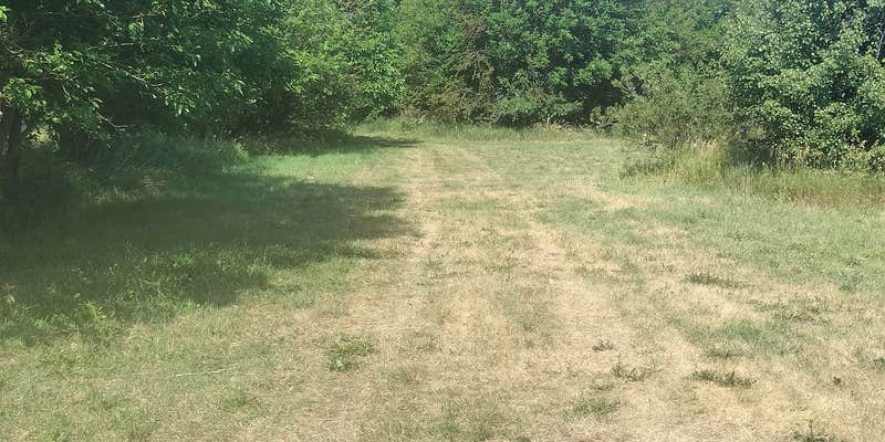 Camper submitted image from Hickey Homestead