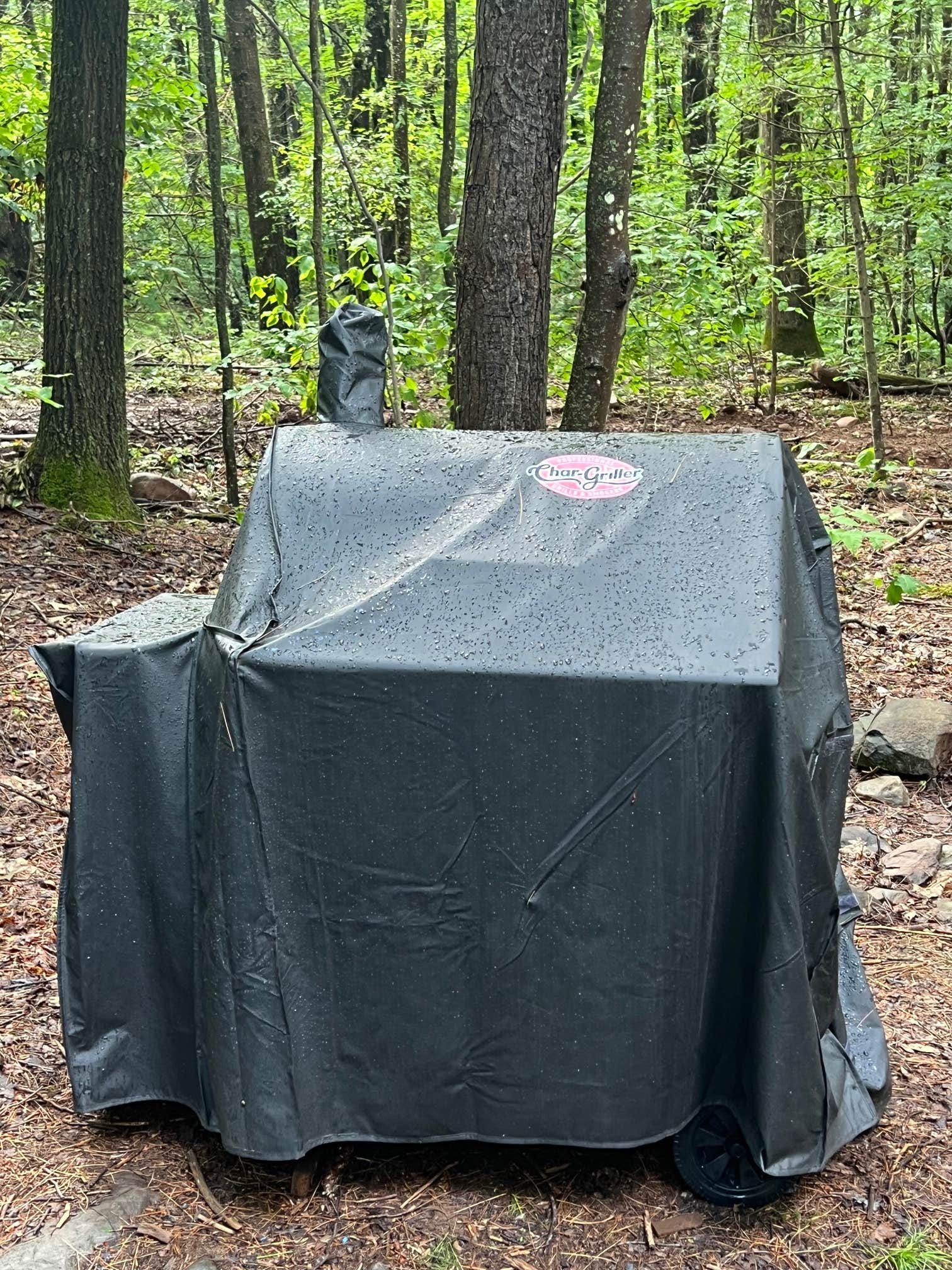 Camper-submitted photo at Whispering Timbers Glamping near Ashland, NY