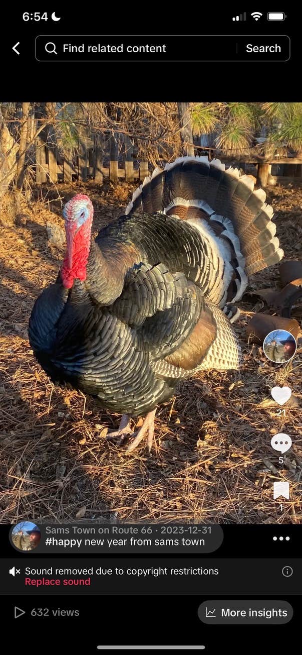 Camper-submitted photo at SAMS TOWN ON ROUTE 66 near Altus, OK