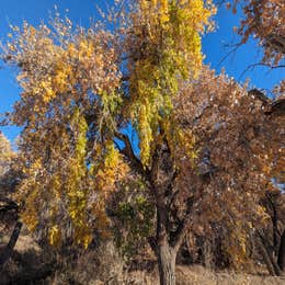 San Antonio Riverine Park