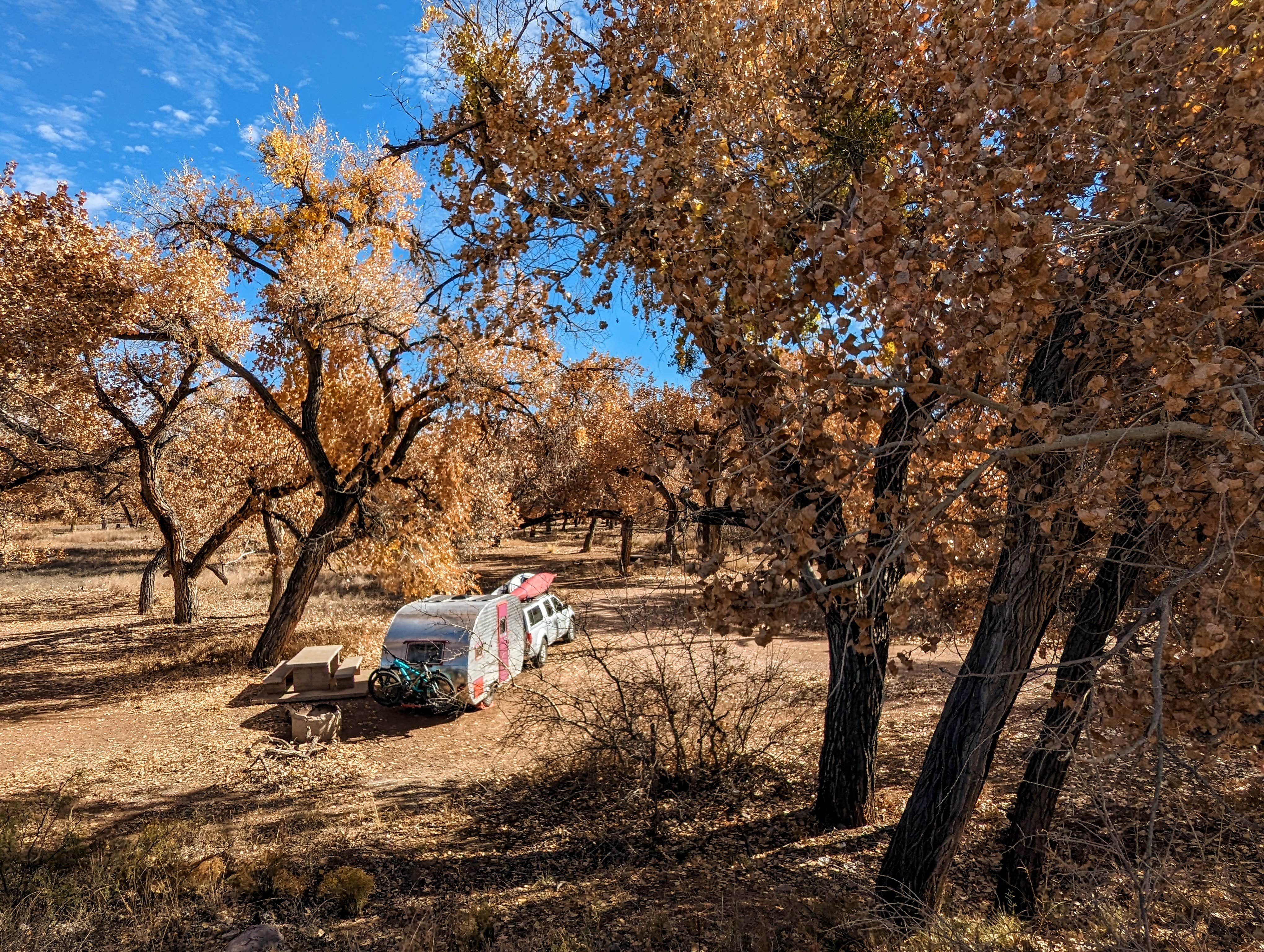 Camper-submitted photo at San Antonio Riverine Park near San Acacia, NM
