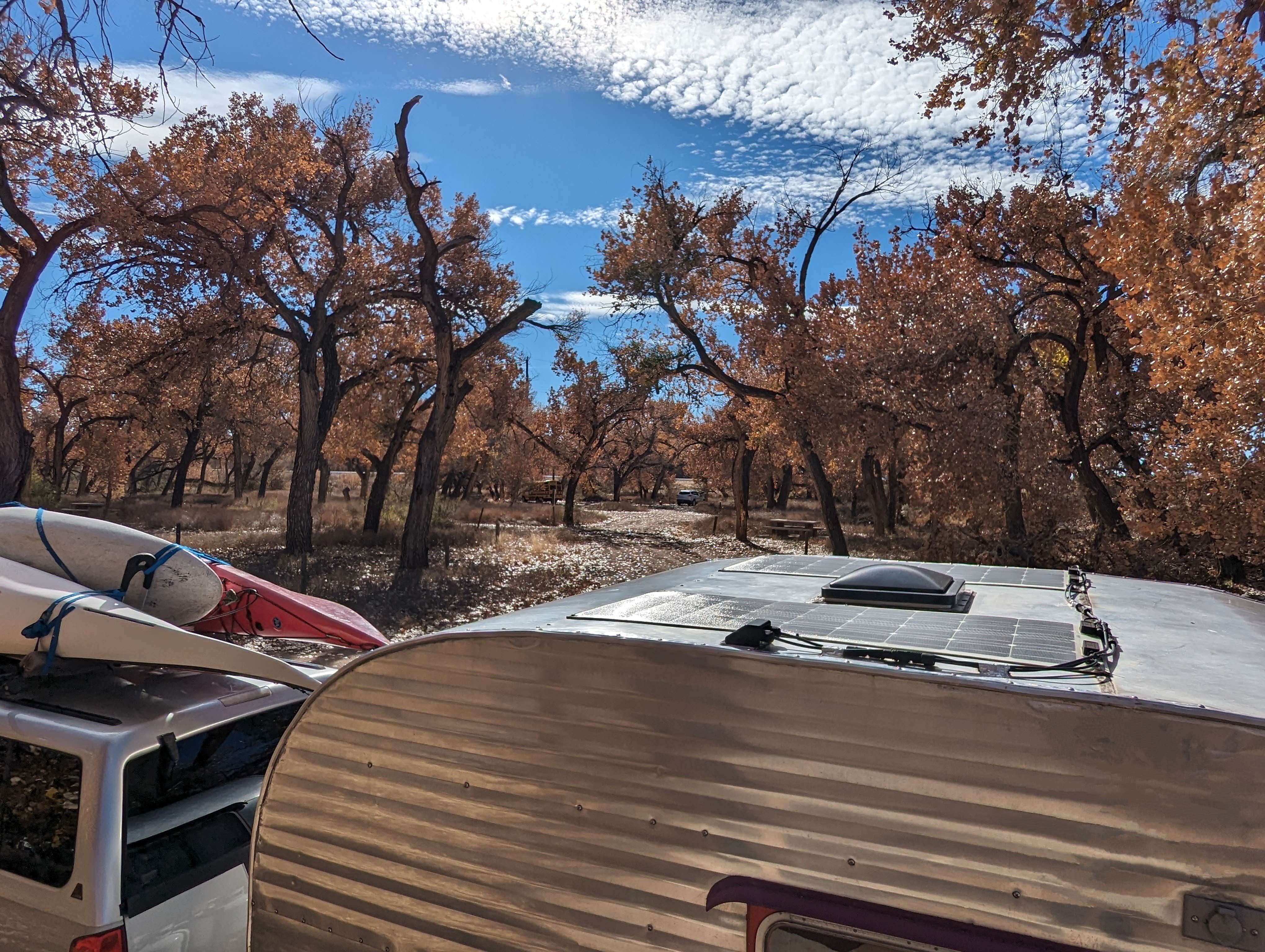 Camper-submitted photo at San Antonio Riverine Park near San Acacia, NM