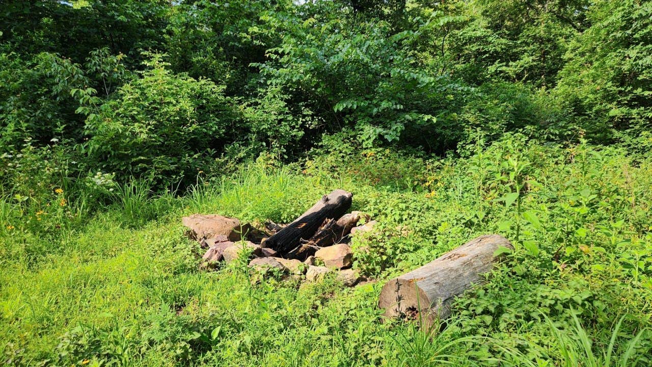 Camper-submitted photo at Group Dispersed, Charleston Road, Ozark NF, AR near Cleveland, AR