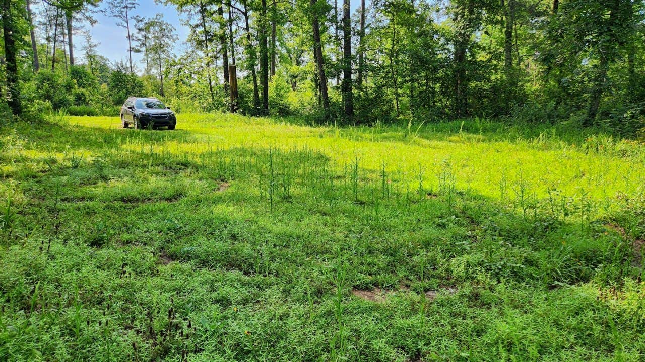 Camper-submitted photo at Group Dispersed, Charleston Road, Ozark NF, AR near Cleveland, AR