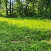 Review photo of Group Dispersed, Charleston Road, Ozark NF, AR by Fred S., July 6, 2024