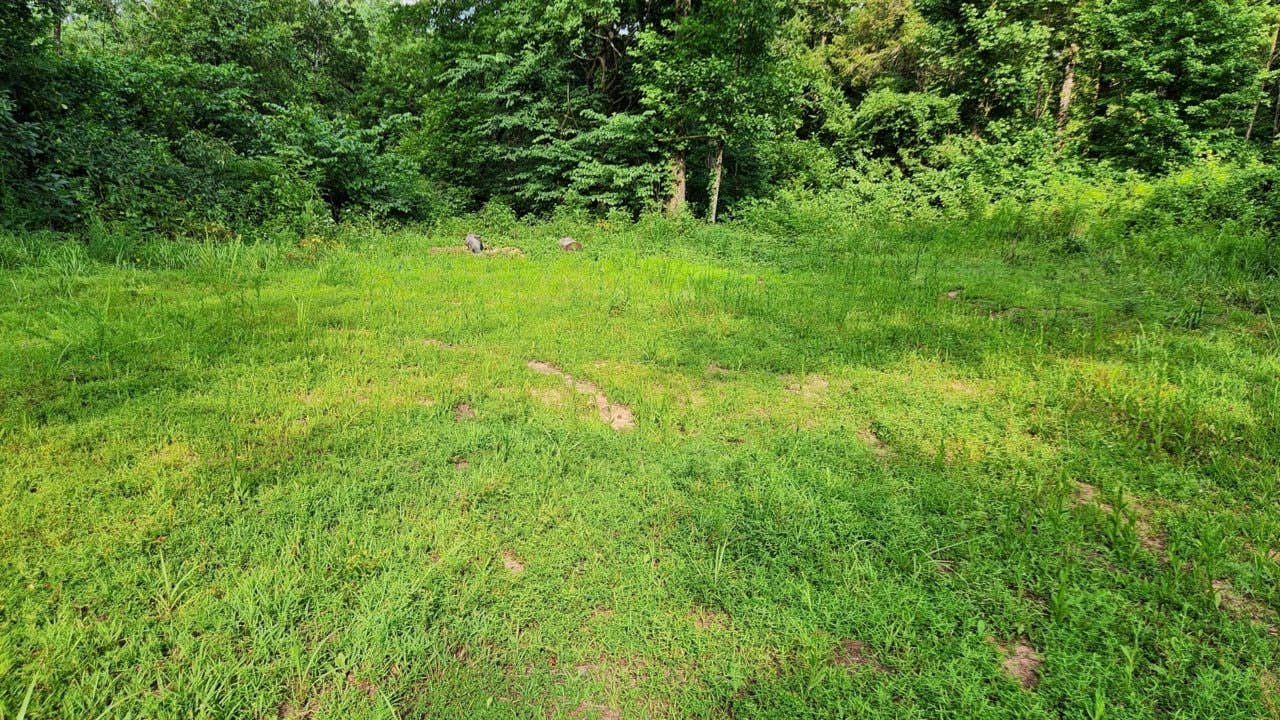 Camping near Brock Creek - Charleston Rd Dispersed, Ozark NF, AR: Group Dispersed, Charleston Road, Ozark NF, AR, Jerusalem, Arkansas