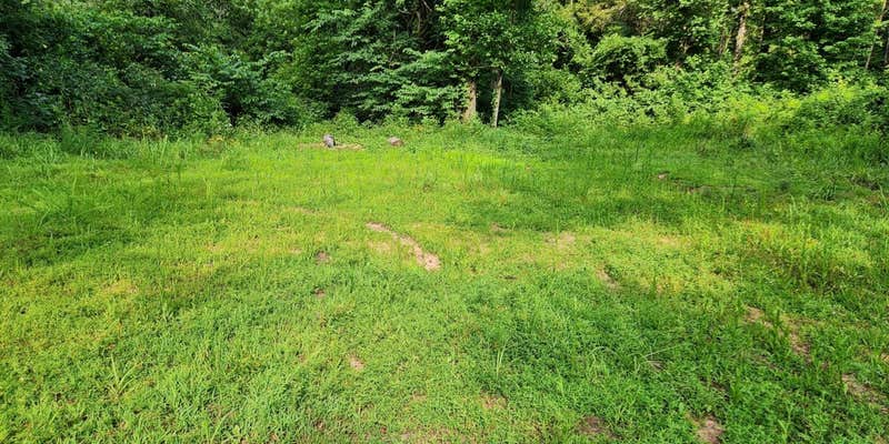 Camper submitted image from Group Dispersed, Charleston Road, Ozark NF, AR