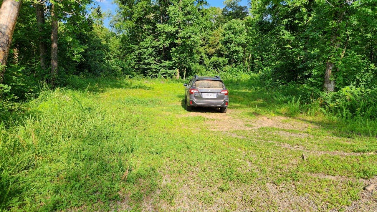 Camper submitted image from Group Dispersed, Charleston Road, Ozark NF, AR - 3