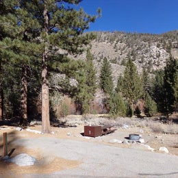 Public Campgrounds: Big Pine Creek Campground