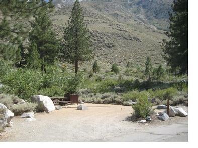 Camper submitted image from Big Pine Creek Campground - 2