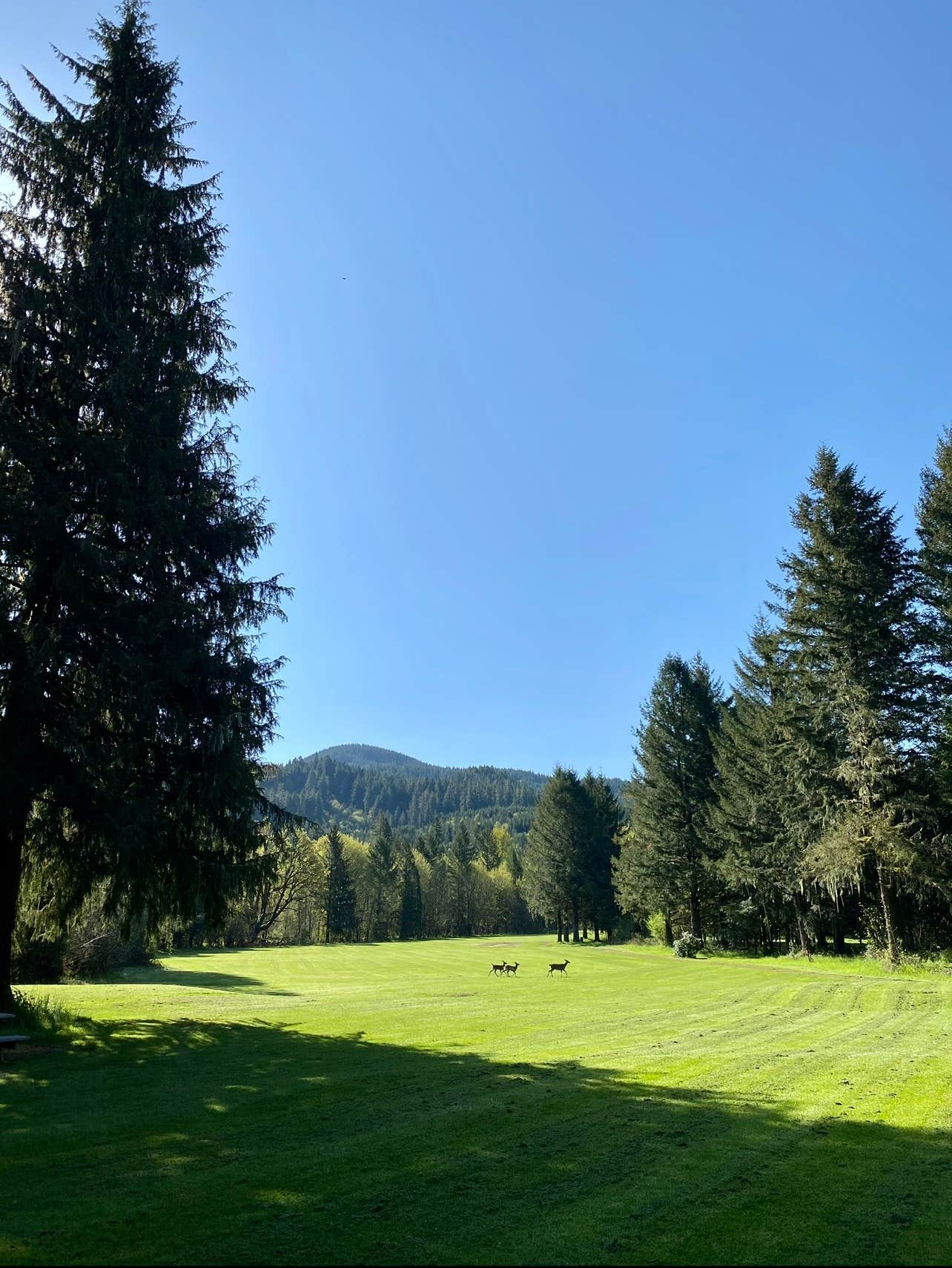 Camper-submitted photo at Old Elkhorn Golf Course near Detroit, OR