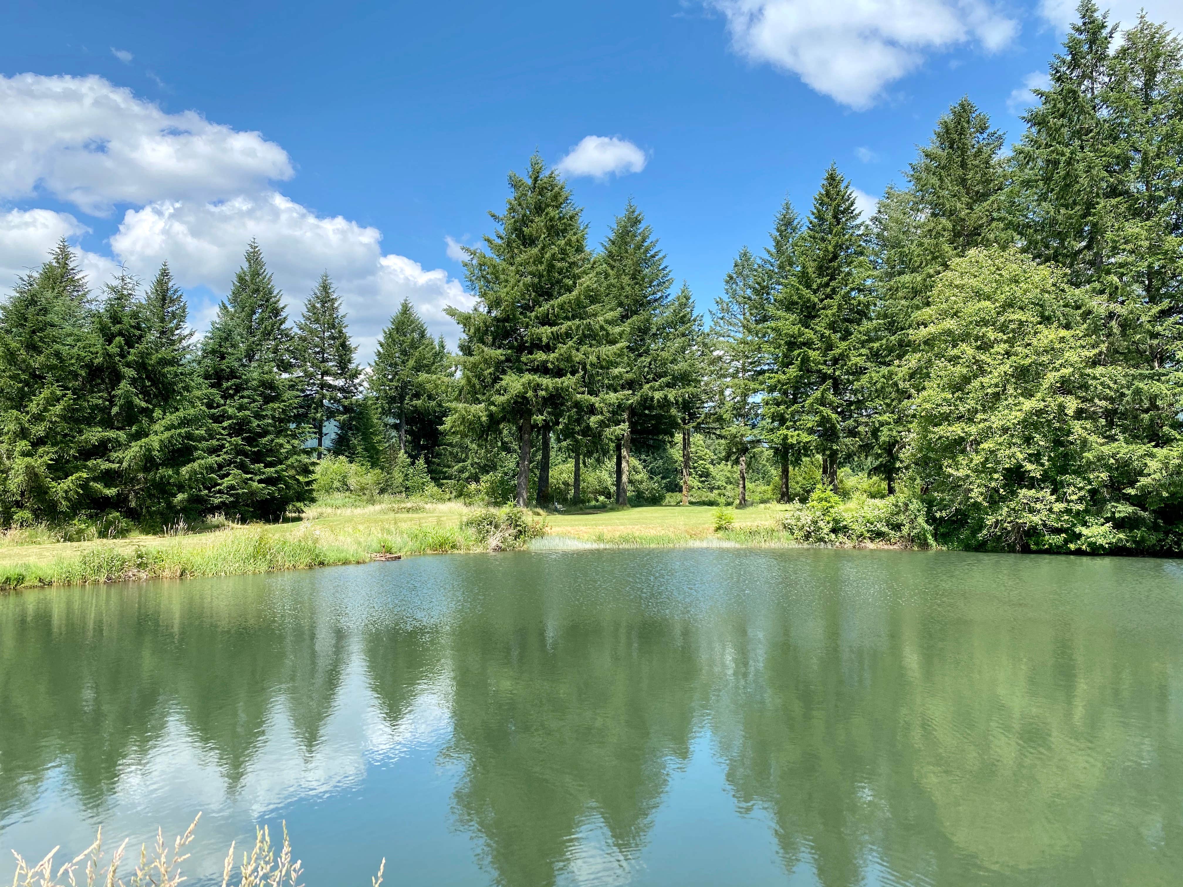 Camper-submitted photo at Old Elkhorn Golf Course near Detroit, OR