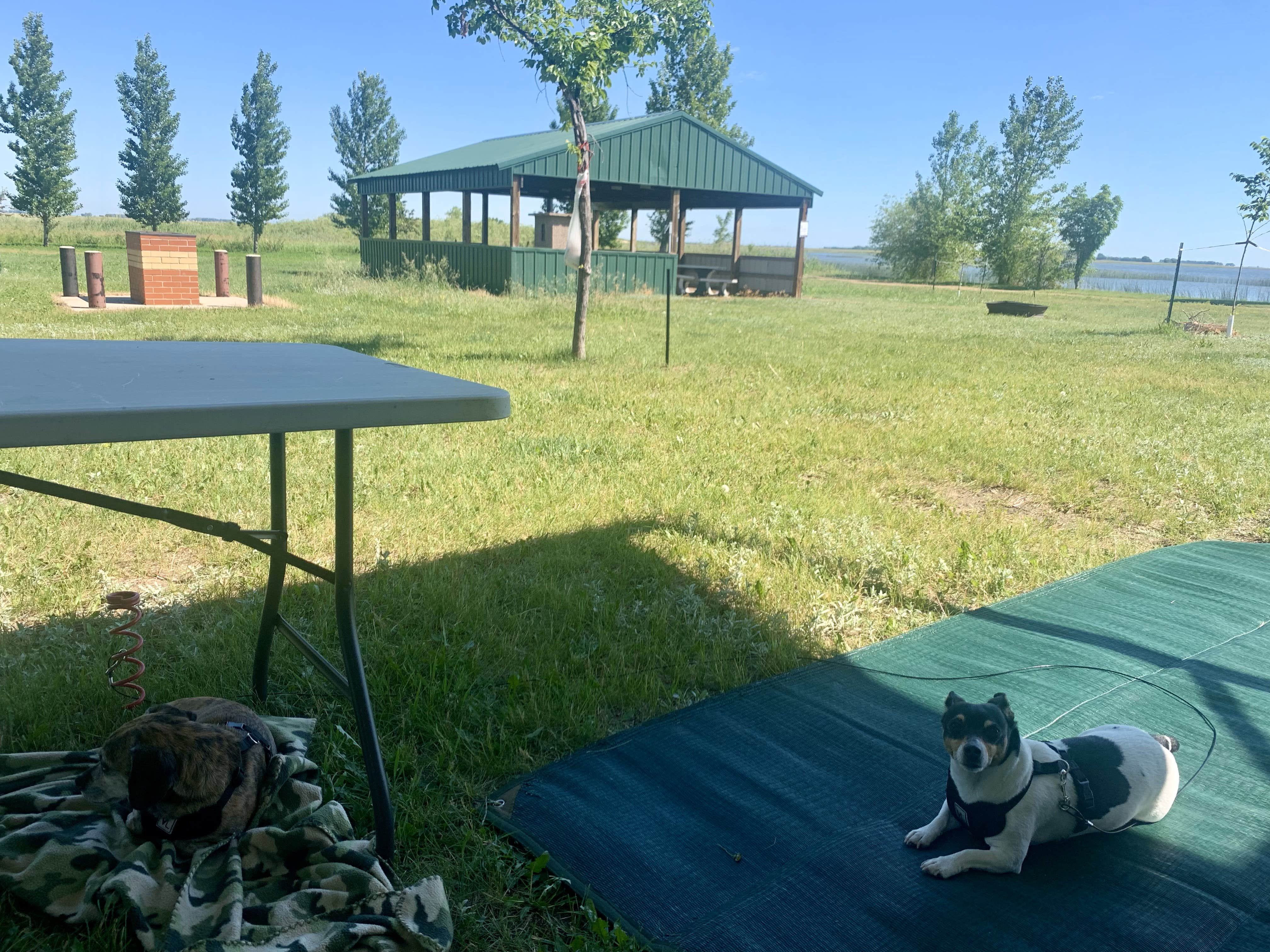 Camper-submitted photo at Buffalo Lodge Lake near Carpio, ND