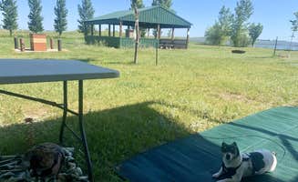 A M.'s photo of camping with pets at Buffalo Lodge Lake in North Dakota