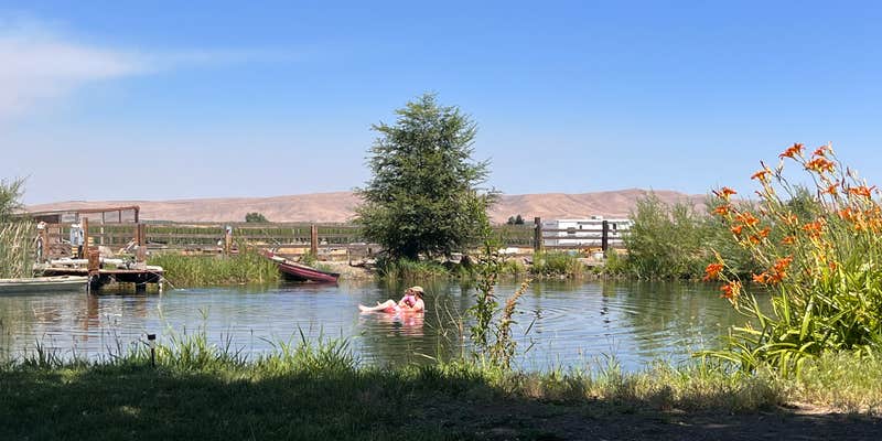 Camper submitted image from Willow Barn Ranch