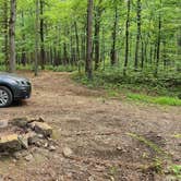 Review photo of Brock Creek - Charleston Rd Dispersed, Ozark NF, AR by Fred S., July 7, 2024