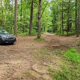 Review photo of Brock Creek - Charleston Rd Dispersed, Ozark NF, AR by Fred S., July 7, 2024