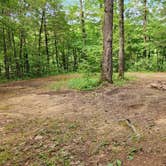 Review photo of Brock Creek - Charleston Rd Dispersed, Ozark NF, AR by Fred S., July 7, 2024