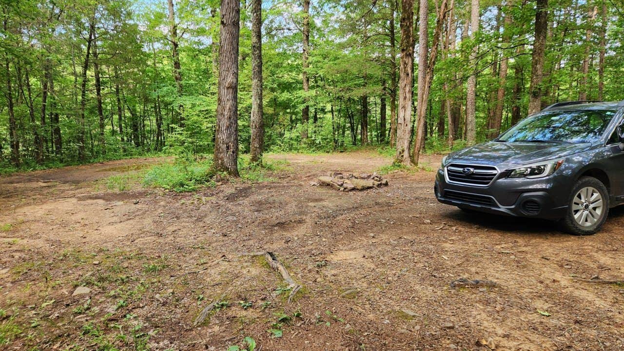 Camper submitted image from Brock Creek - Charleston Rd Dispersed, Ozark NF, AR - 1