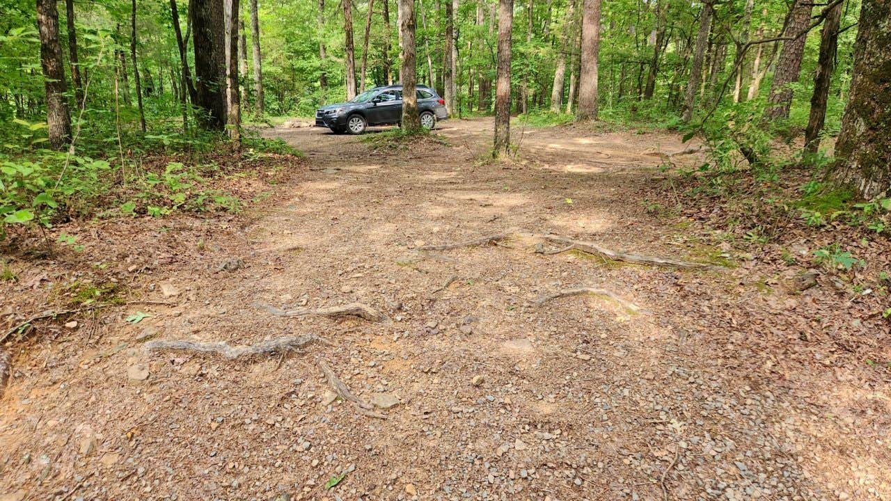 Camper-submitted photo at Brock Creek - Charleston Rd Dispersed, Ozark NF, AR near Cleveland, AR