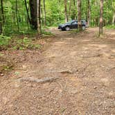 Review photo of Brock Creek - Charleston Rd Dispersed, Ozark NF, AR by Fred S., July 7, 2024