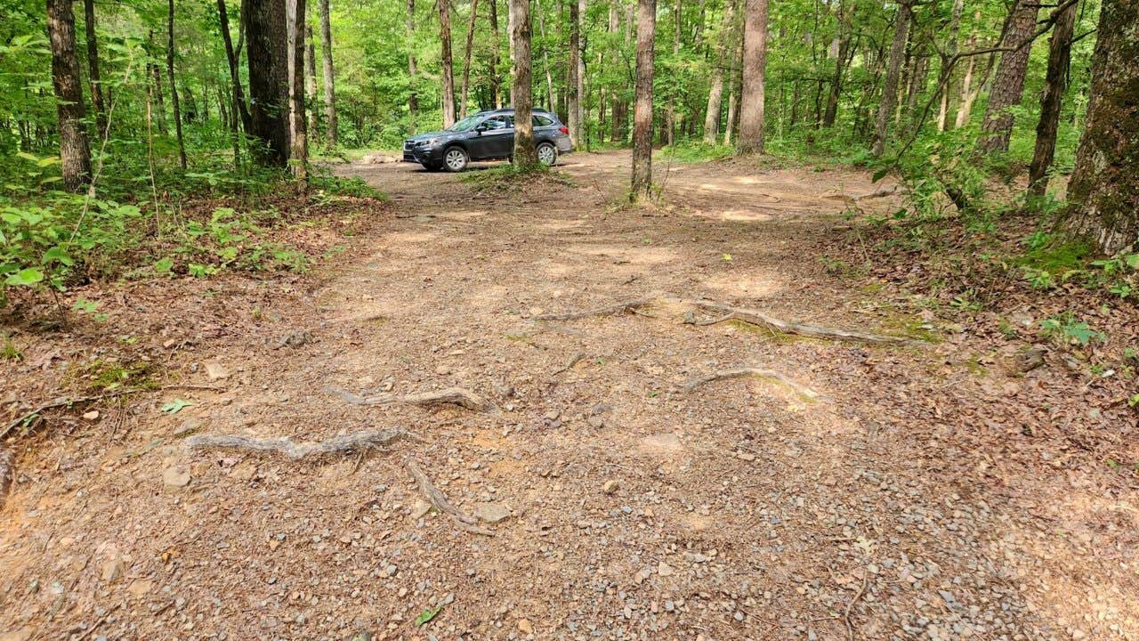 Camper submitted image from Brock Creek - Charleston Rd Dispersed, Ozark NF, AR - 3