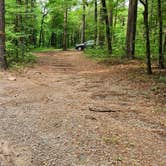 Review photo of Brock Creek - Charleston Rd Dispersed, Ozark NF, AR by Fred S., July 7, 2024