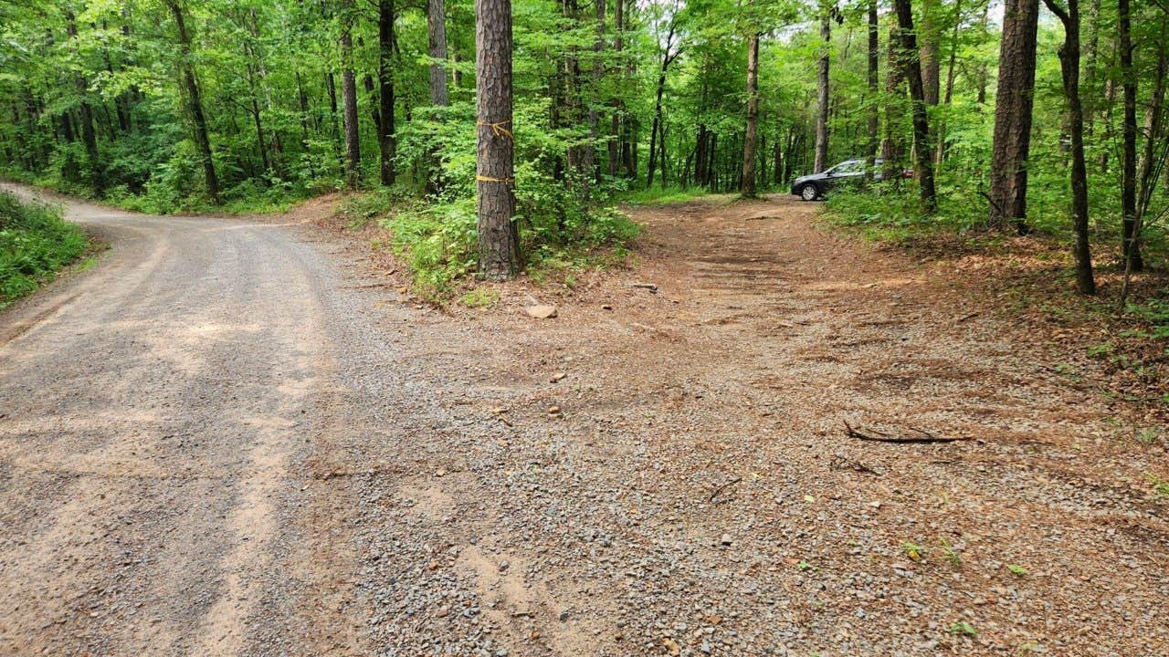 Camper submitted image from Brock Creek - Charleston Rd Dispersed, Ozark NF, AR - 5