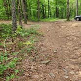 Review photo of Brock Creek - Charleston Rd Dispersed, Ozark NF, AR by Fred S., July 7, 2024