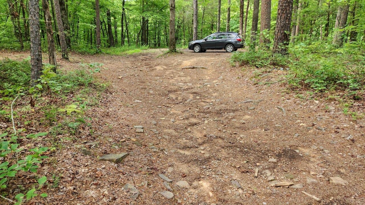 Camper submitted image from Brock Creek - Charleston Rd Dispersed, Ozark NF, AR - 2