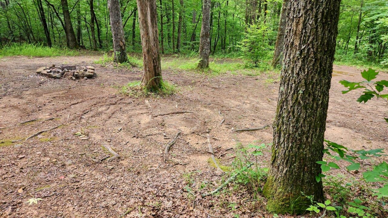 Camper-submitted photo at Brock Creek - Charleston Rd Dispersed, Ozark NF, AR near Cleveland, AR