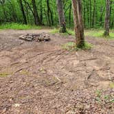 Review photo of Brock Creek - Charleston Rd Dispersed, Ozark NF, AR by Fred S., July 7, 2024