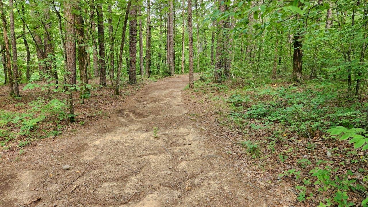 Camper-submitted photo at Brock Creek - Charleston Rd Dispersed, Ozark NF, AR near Cleveland, AR