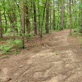 Review photo of Brock Creek - Charleston Rd Dispersed, Ozark NF, AR by Fred S., July 7, 2024