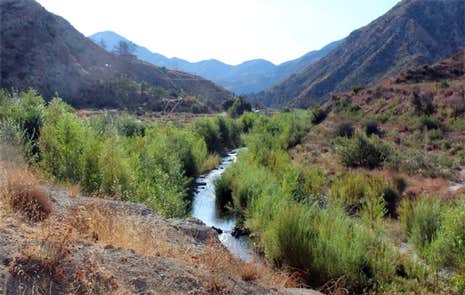 Camper-submitted photo at Thompson Creek Campground near Parachute, CO